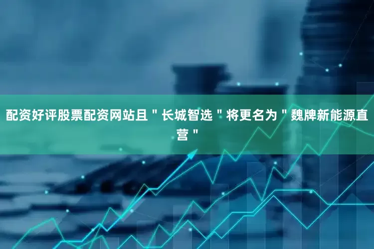 配资好评股票配资网站且＂长城智选＂将更名为＂魏牌新能源直营＂