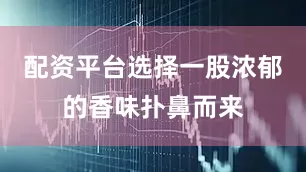配资平台选择一股浓郁的香味扑鼻而来